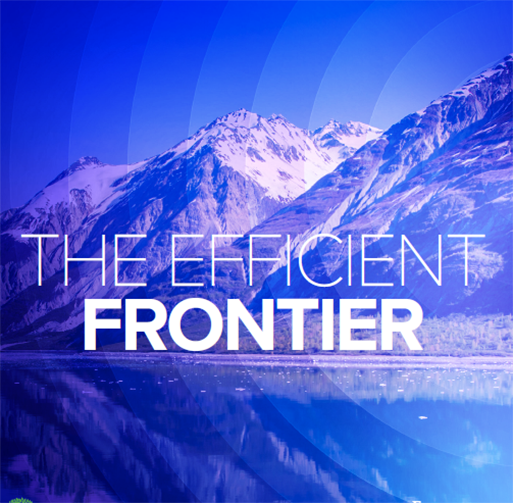 SRPInsight Issue 2 - The efficient frontier